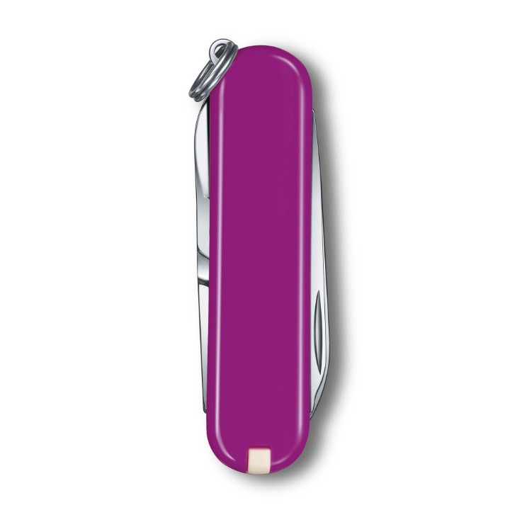 Obrázek Kapesní nůž Victorinox Classic SD Colors Tasty Grape