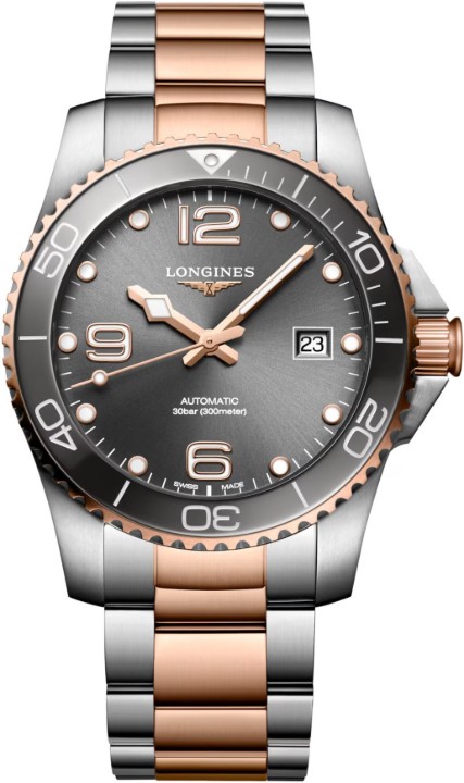 Obrázek Longines HydroConquest