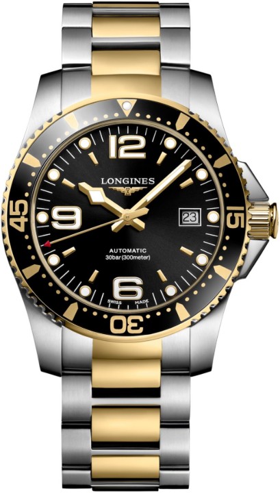 Obrázek Longines HydroConquest