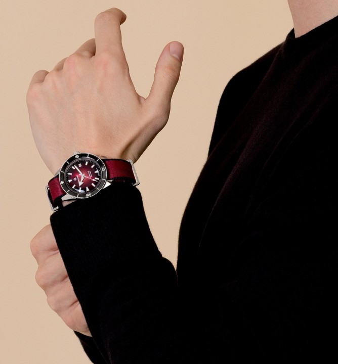 Obrázek Rado Captain Cook Automatic