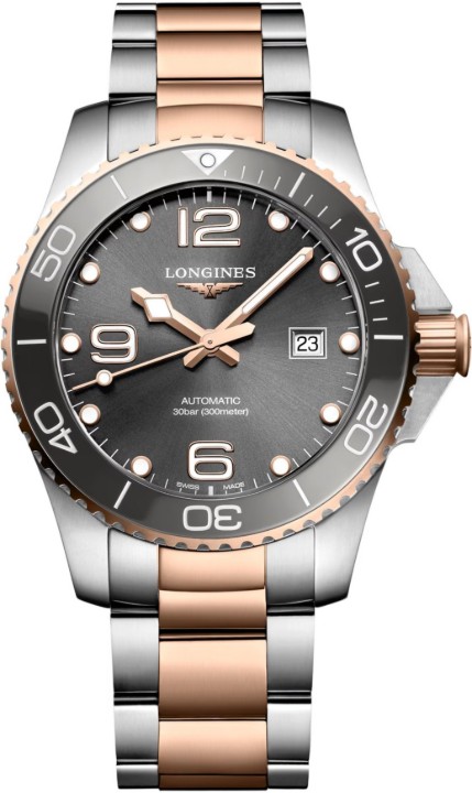 Obrázek Longines HydroConquest
