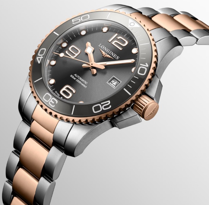 Obrázek Longines HydroConquest