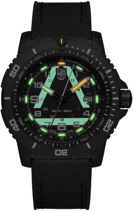 Obrázek Luminox ICE-SAR 1080 Series