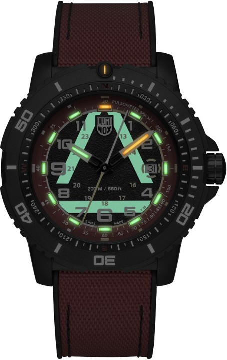 Obrázek Luminox ICE-SAR 1080 Series Limited Edition
