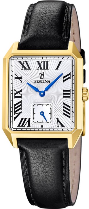 Obrázek Festina Classics