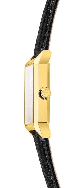Obrázek Festina Classics