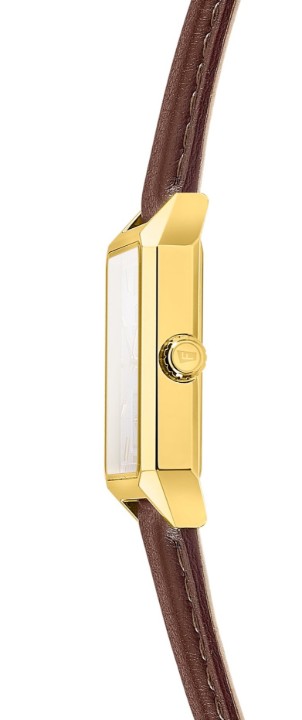 Obrázek Festina Classics