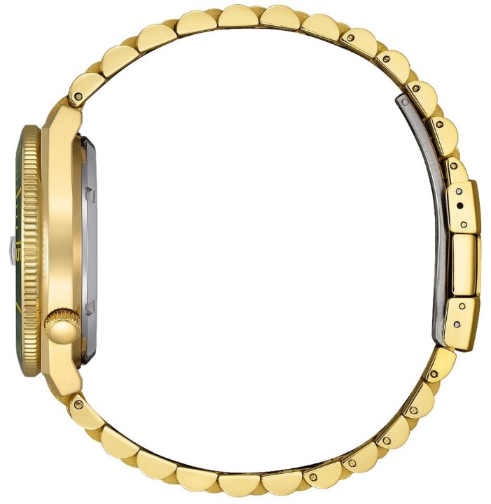 Obrázek Citizen Tsuyosa Shore Automatic