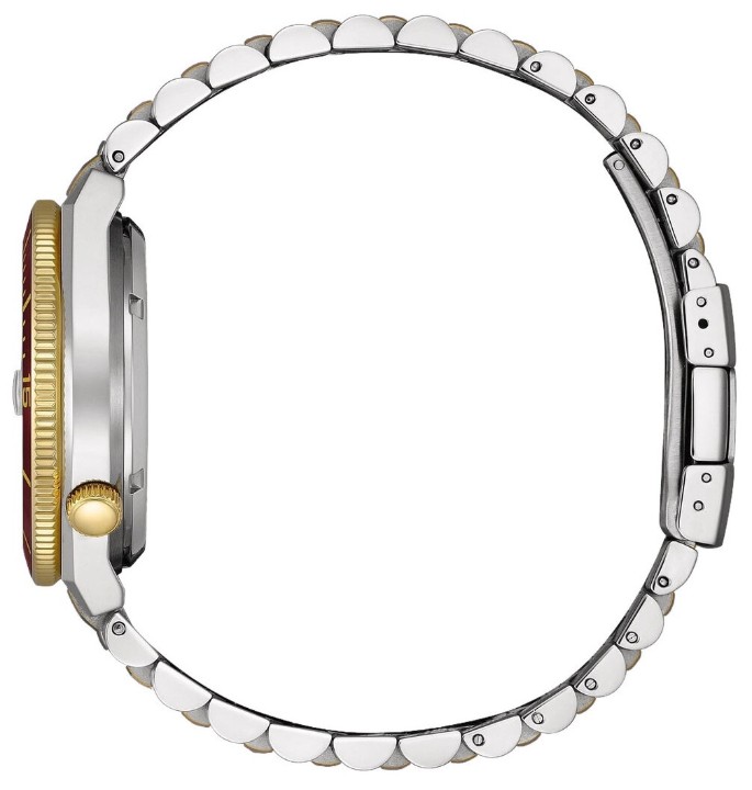 Obrázek Citizen Tsuyosa Shore Automatic