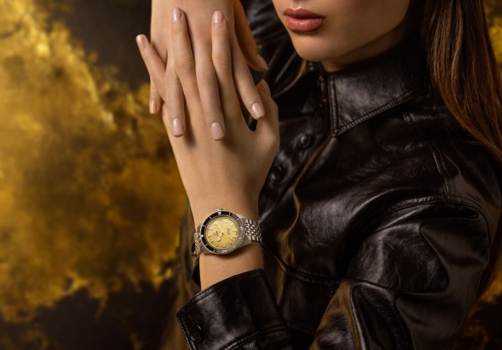 Obrázek Rado Captain Cook Automatic