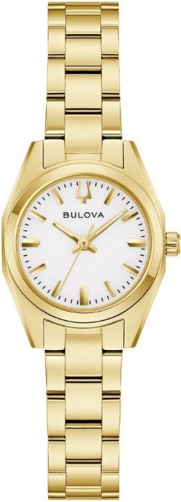 Obrázek Bulova Surveyor Classic Quartz Mini